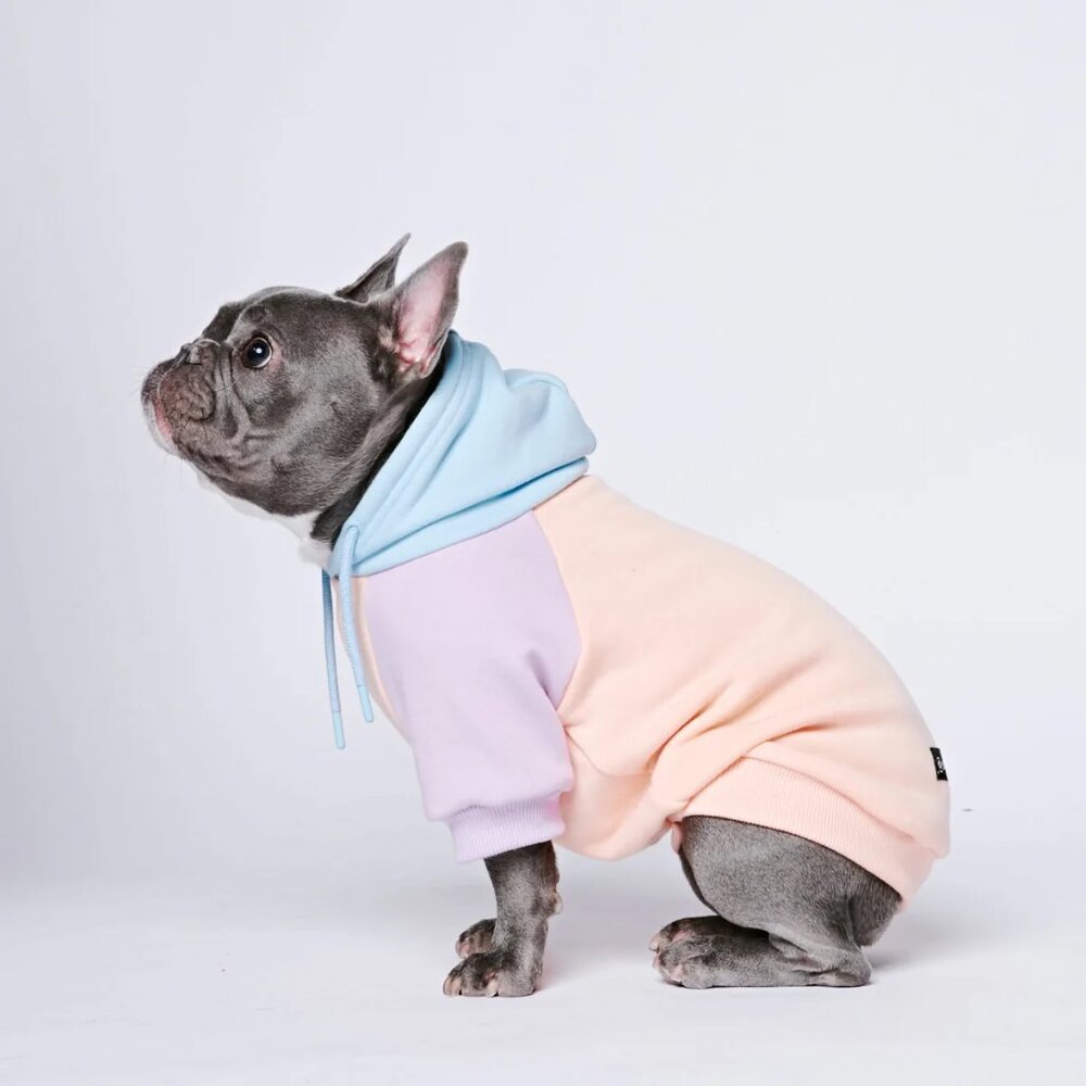 Sparkpaws Cotton Candy Dog Hoodie